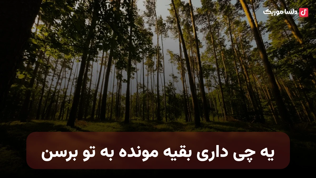یه چی داری بقیه مونده به تو برسن هی سرک میکشن تو پیج من نصف شب